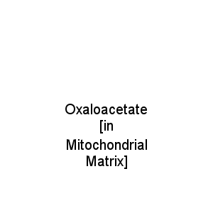 Oxaloacetate [in Mitochondrial Matrix]